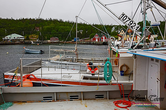 Aspotogen Peninsula 330