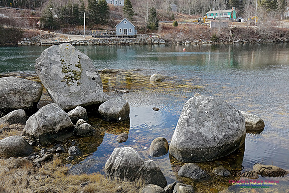 Aspotogen Peninsula 303