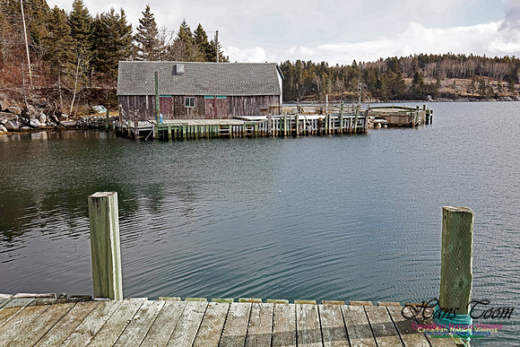 Aspotogen Peninsula 306