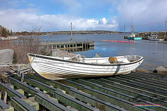 Aspotogen Peninsula 309