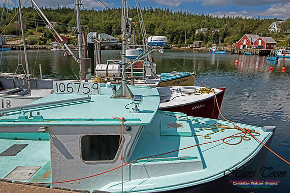 Aspotogen Peninsula 312