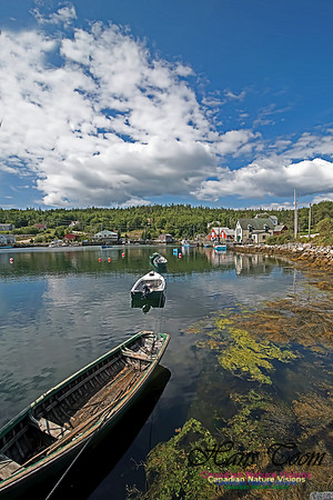 Aspotogen Peninsula 313