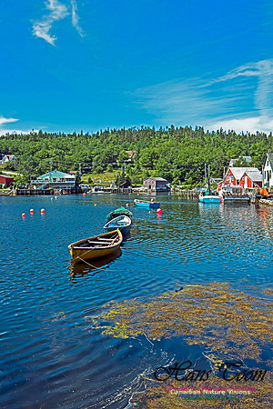 Aspotogen Peninsula 318