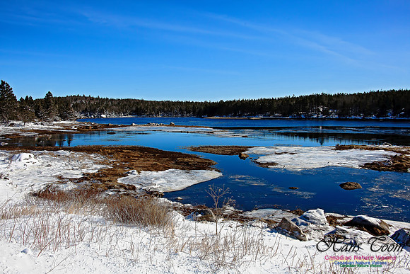 Chebucto Peninsula 130