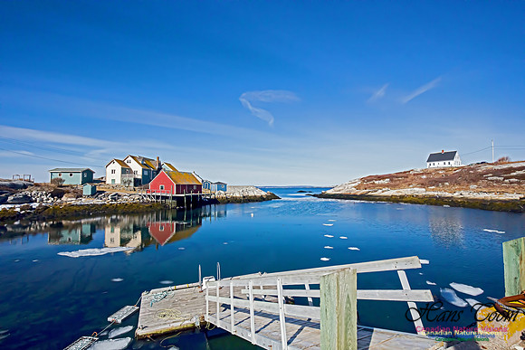 Chebucto Peninsula 105