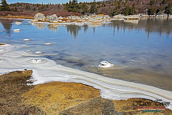 Chebucto Peninsula 110
