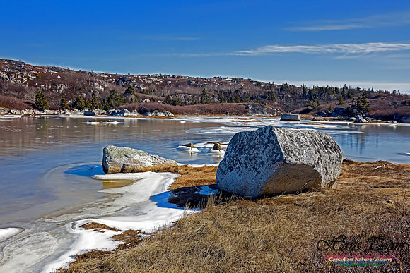 Chebucto Peninsula 111