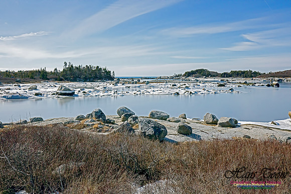 Chebucto Peninsula 112