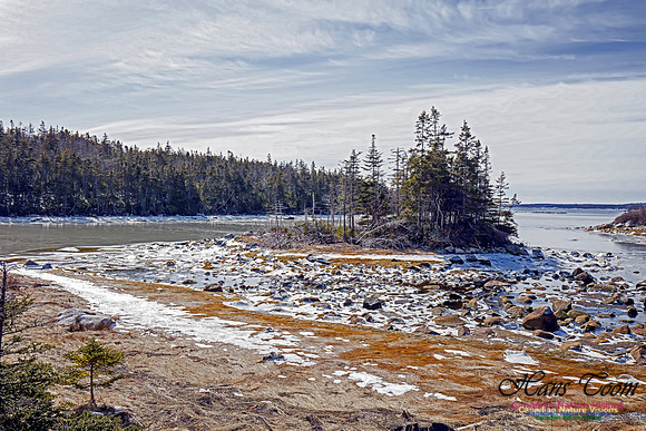 Chebucto Peninsula 123