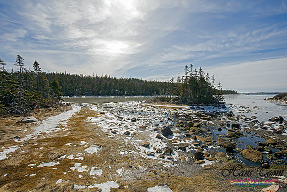 Chebucto Peninsula 124