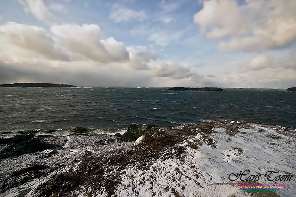 Chebucto Peninsula 126