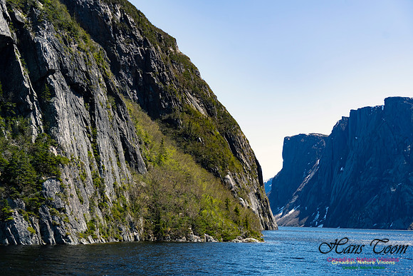 Western Brook Pond 138