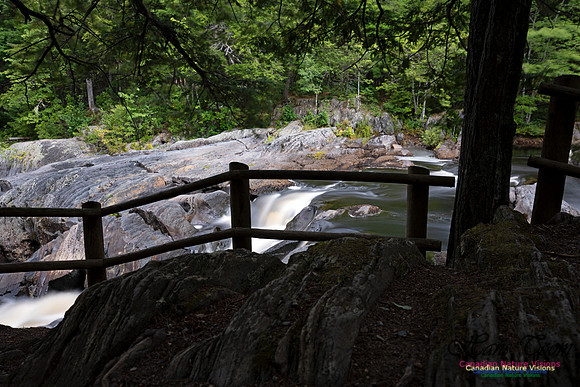 Living Water 103