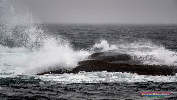 Nova Scotia Winter Scenes 111
