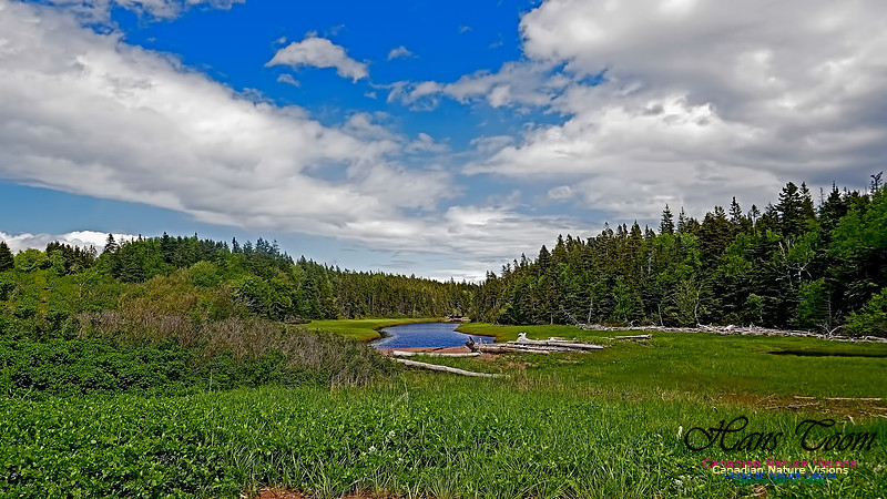 Cape Chignecto Provincial Park 101