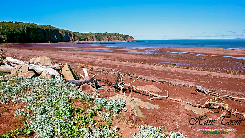 Cape Chignecto Provincial Park 103