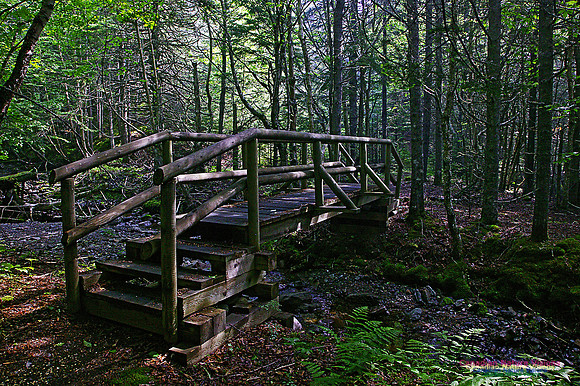 Cape Chignecto Provincial Park 100