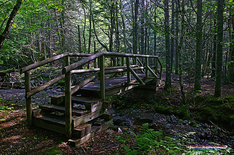 Cape Chignecto Provincial Park 100