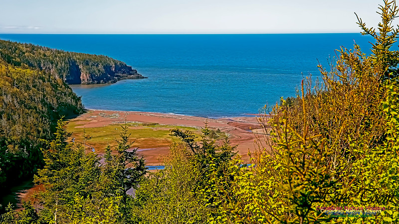 Cape Chignecto Provincial Park 106