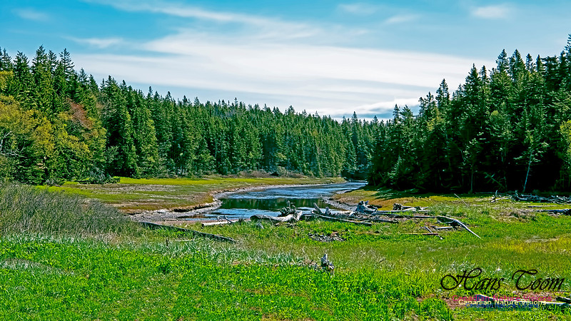 Cape Chignecto Provincial Park 102