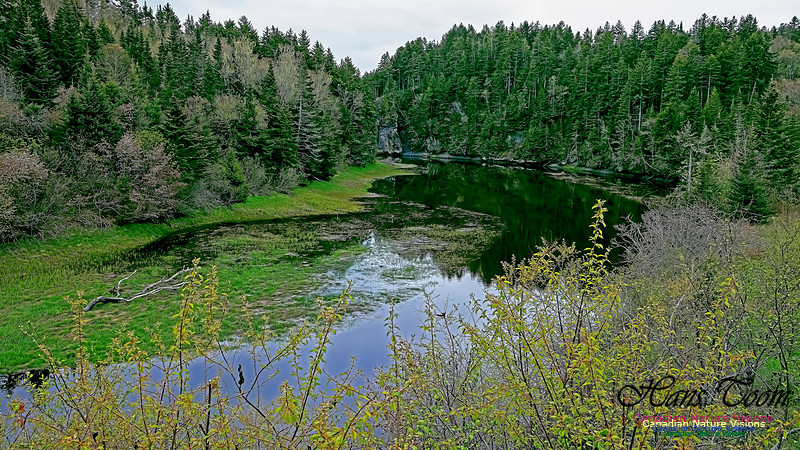 Cape Chignecto Provincial Park 112
