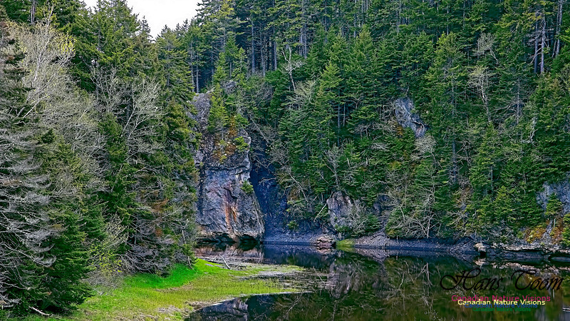 Cape Chignecto Provincial Park 113