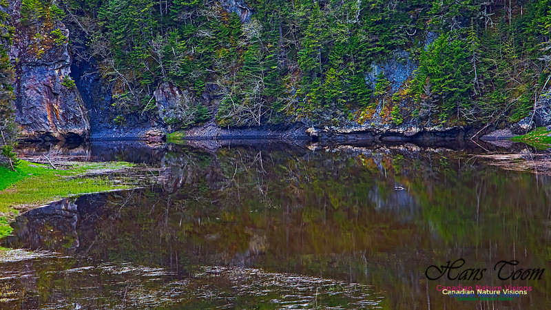 Cape Chignecto Provincial Park 114