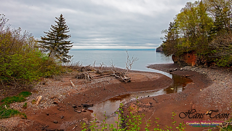 Cape Chignecto Provincial Park 115