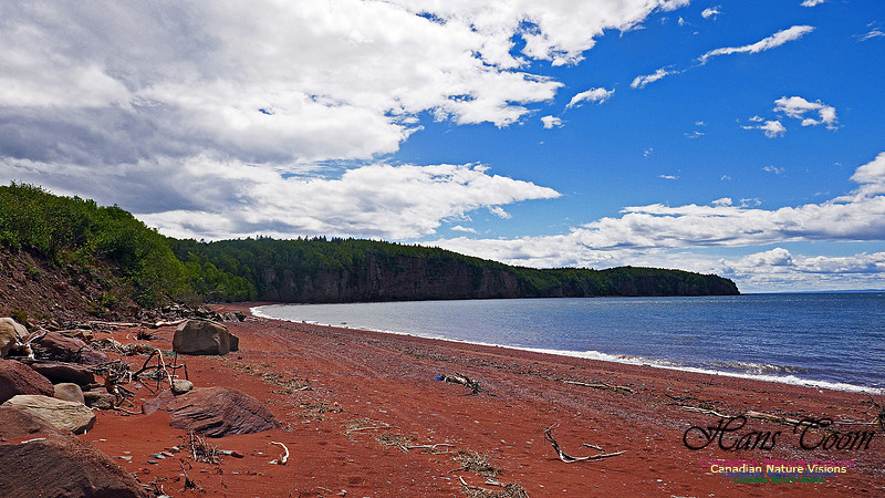 Cape Chignecto Provincial Park 116