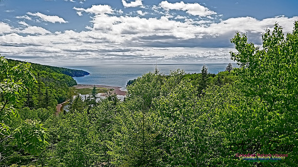 Cape Chignecto Provincial Park 117