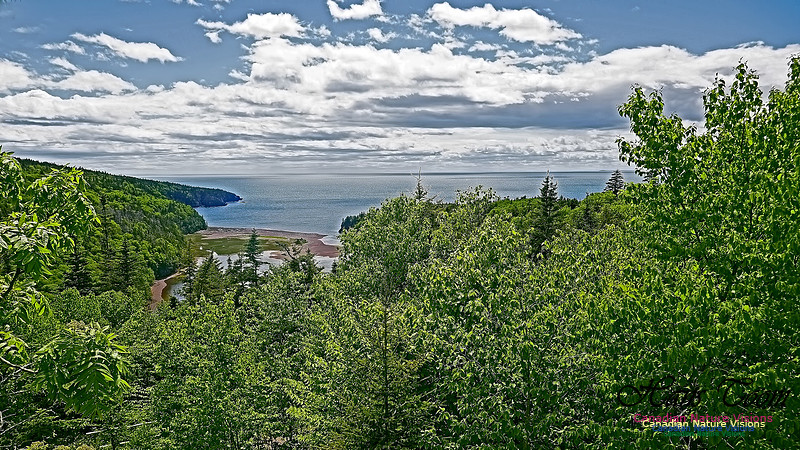 Cape Chignecto Provincial Park 117