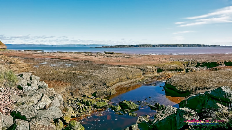 Cape Chignecto Provincial Park 107