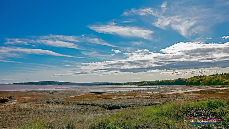 Cape Chignecto Provincial Park 108