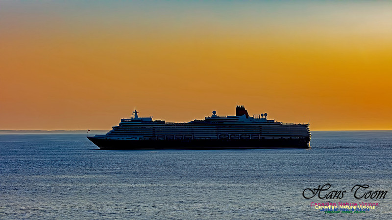 Queen Elizabeth 1003