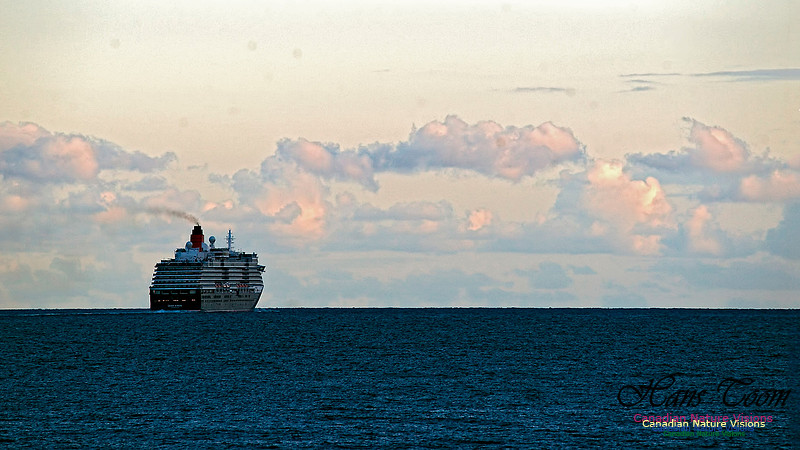 Queen Victoria 102
