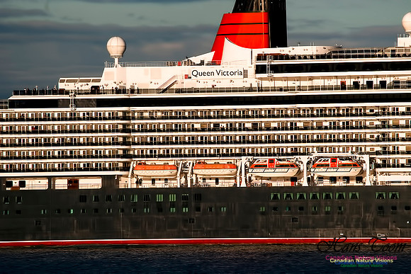 Queen Victoria 103