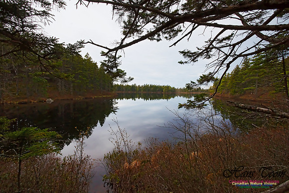 Wetlands Trail Mount Uniacke 104
