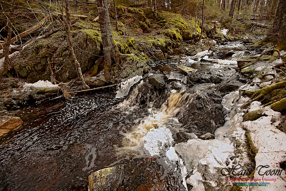 Wetlands Trail Mount Uniacke 102