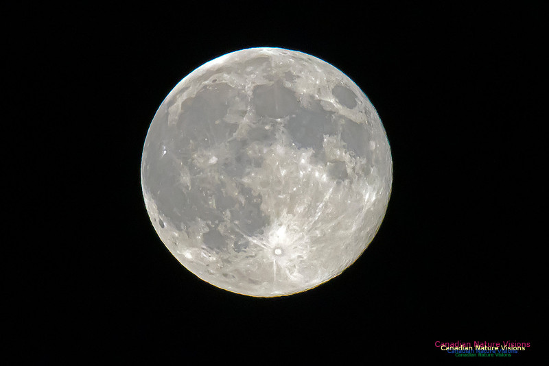 Brightest Supermoon August 2014
