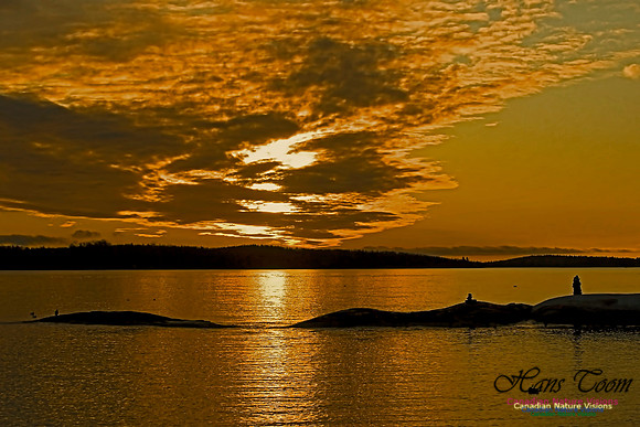 Dawn at Halifax Harbour 100