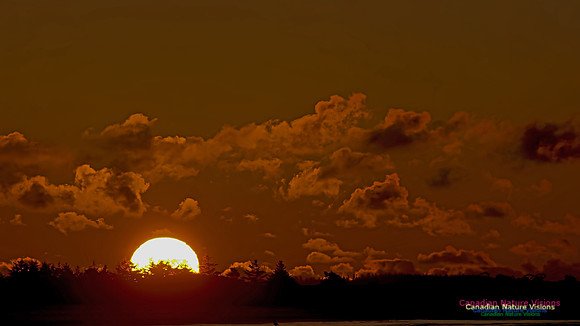 Conrad's Beach Sunrise 102