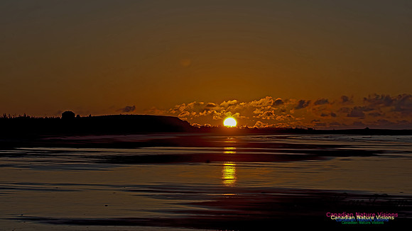 Conrad's Beach Sunrise 103