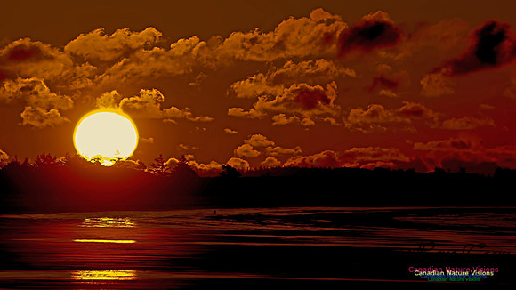 Conrad's Beach Sunrise 104