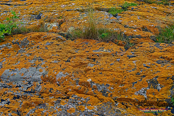 Shoreline Rocks 100