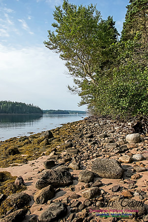 Troop Island 101
