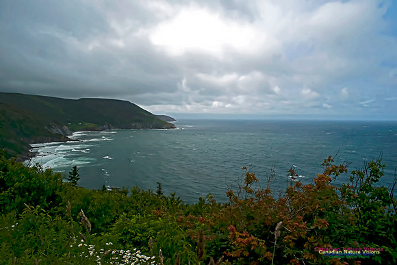 Cape Breton Coastline 101