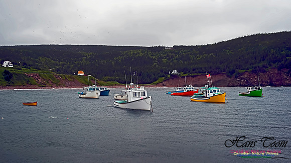Cape Breton Coastline 103