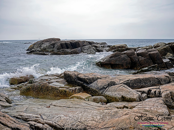 Coastal Nova Scotia 202