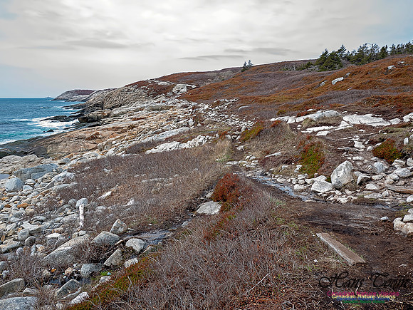 Coastal Nova Scotia 204
