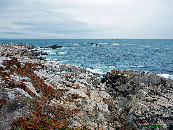 Coastal Nova Scotia 205